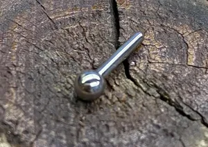 16g Threadless BARBELL Backing