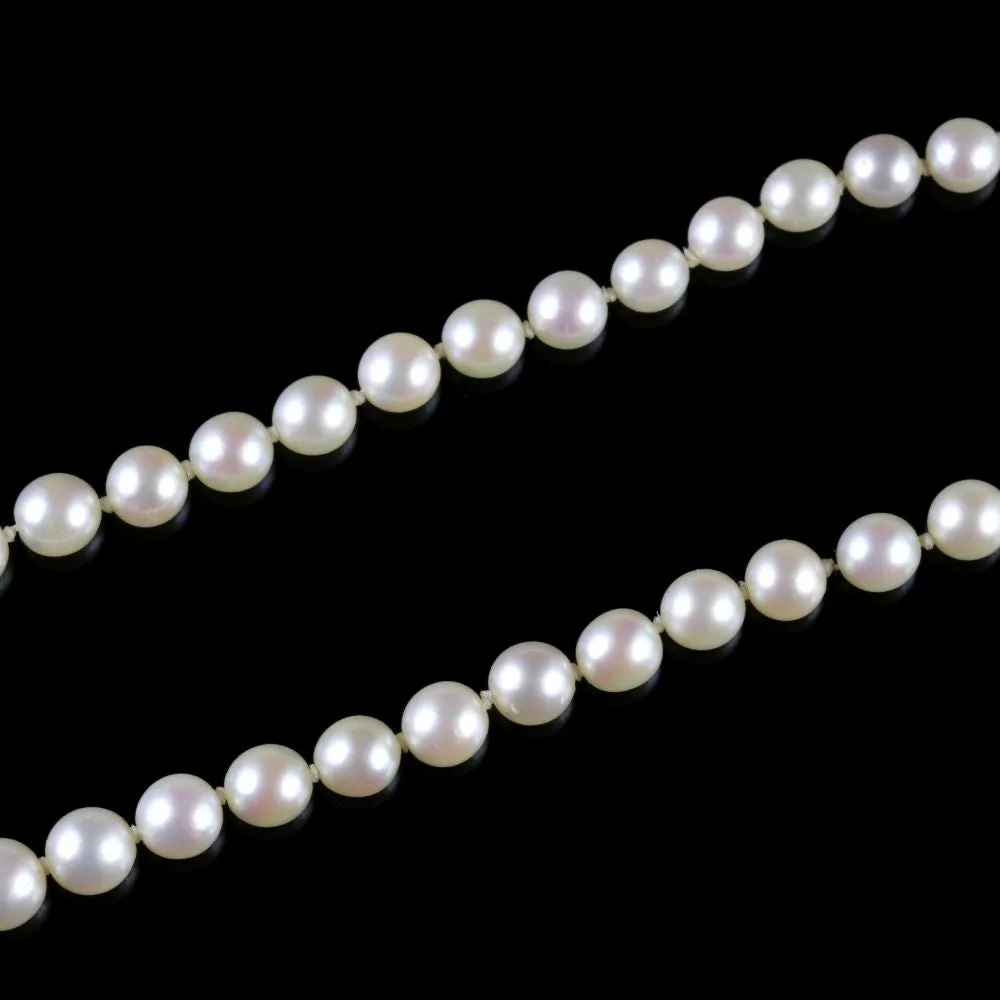 Antique Victorian Pearl Boxed Necklace Circa 1900