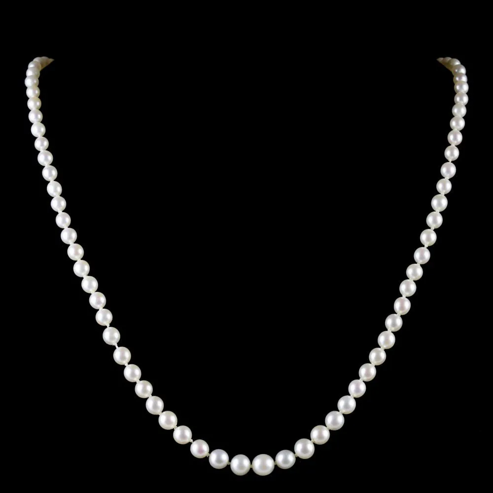 Antique Victorian Pearl Boxed Necklace Circa 1900