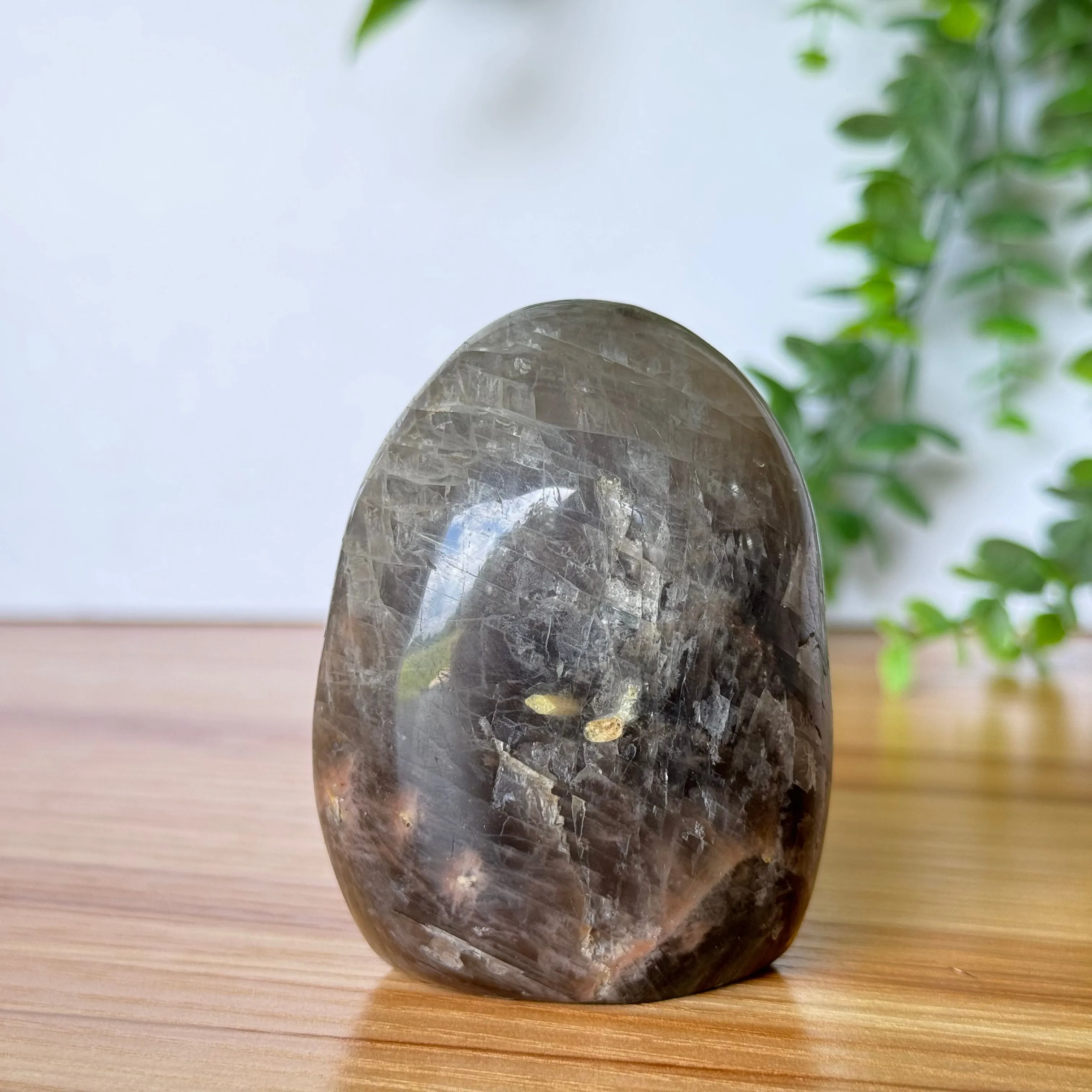 Black Moonstone Free Form