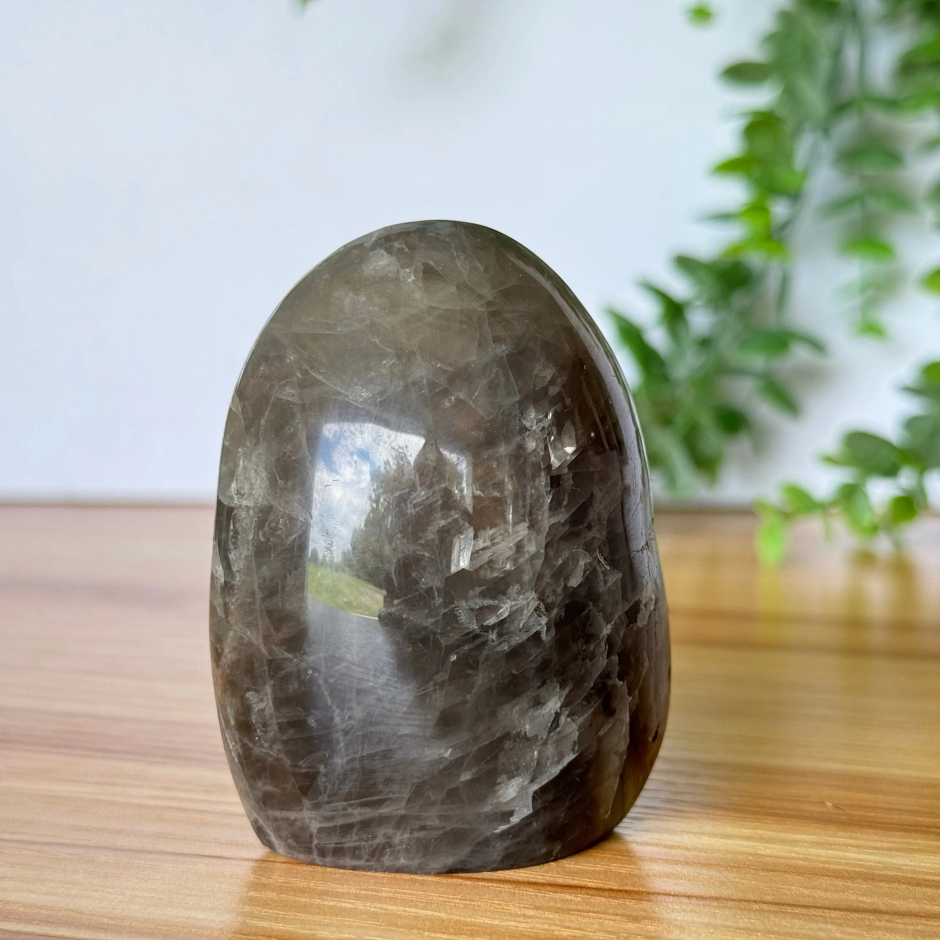 Black Moonstone Free Form