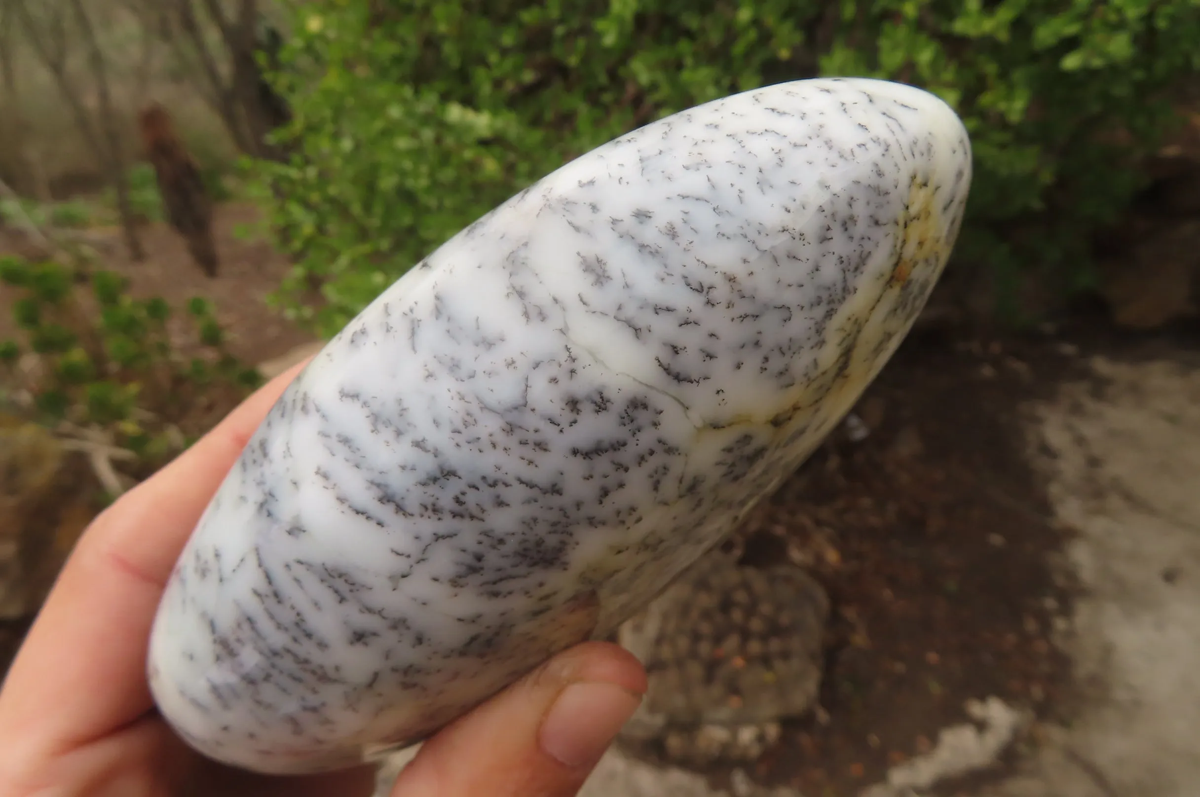 Polished Dendritic Opal Standing Free Forms x 3 From Madagascar