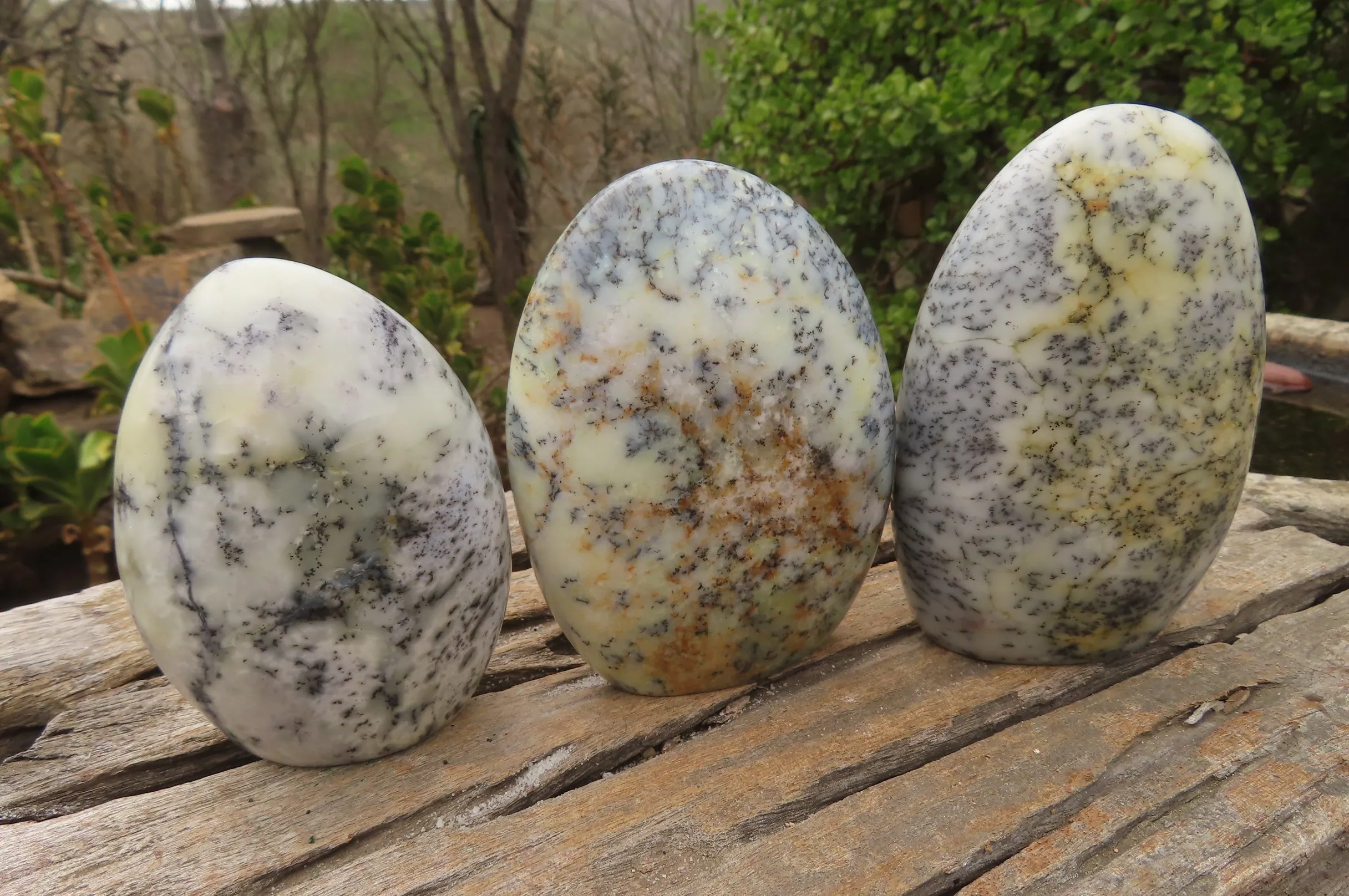 Polished Dendritic Opal Standing Free Forms x 3 From Madagascar