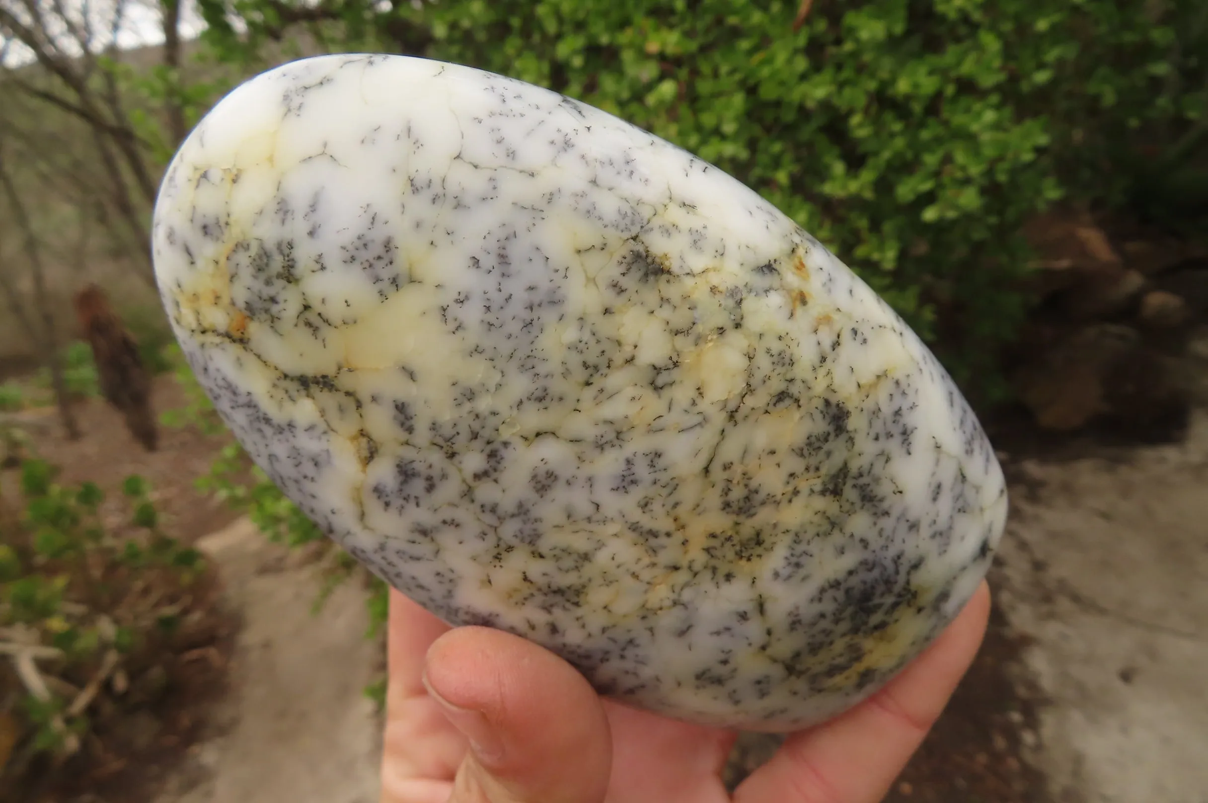 Polished Dendritic Opal Standing Free Forms x 3 From Madagascar