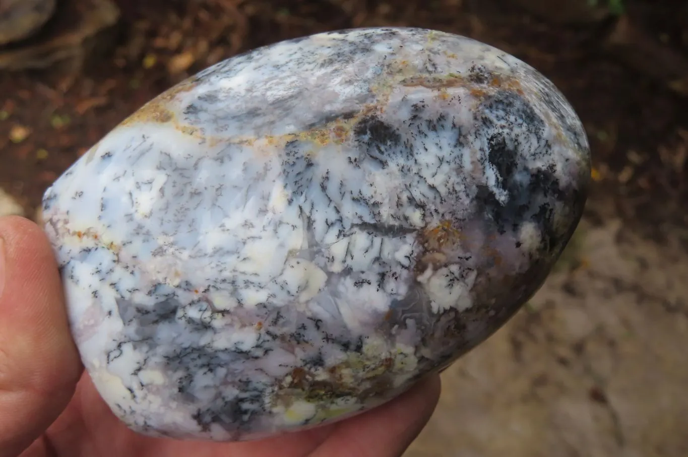 Polished Dendritic Opal Standing Free Forms x 3 From Moralambo, Madagascar