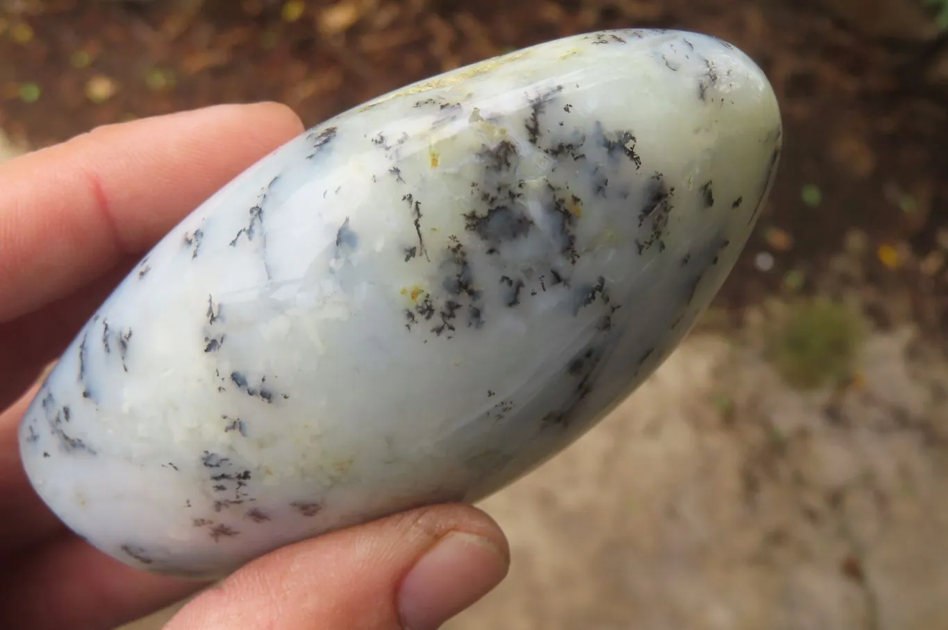 Polished Dendritic Opal Standing Free Forms x 3 From Moralambo, Madagascar