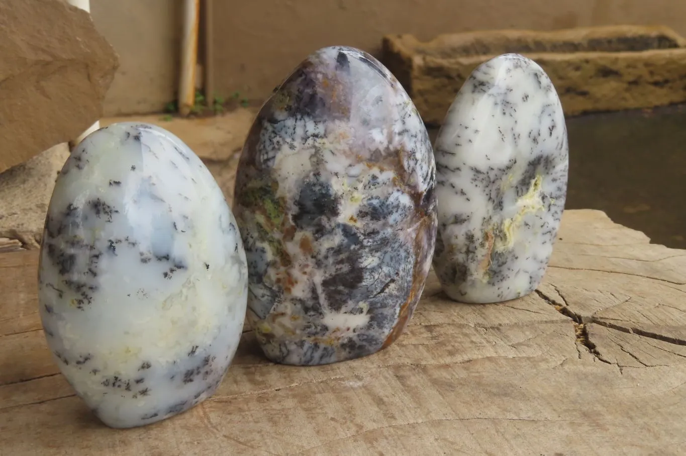 Polished Dendritic Opal Standing Free Forms x 3 From Moralambo, Madagascar